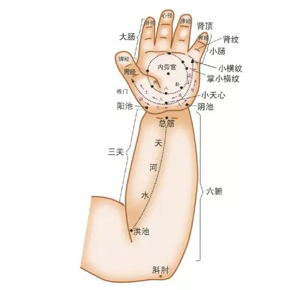 小儿推拿的穴位名词位置全篇图片注释